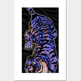 Periwinkle Tiger Posters and Art